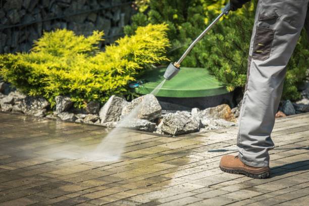 Best Solar Panel Cleaning  in Northwest Harbor, NY