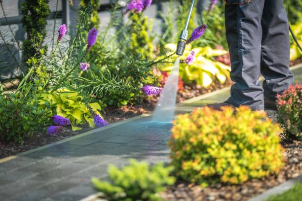 Best Sidewalk and Walkway Cleaning  in Northwest Harbor, NY