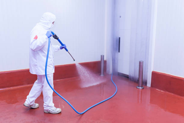  Northwest Harbor, NY Pressure Washing Pros