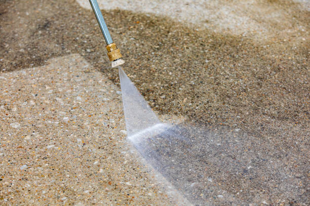 Best Driveway Pressure Washing  in Northwest Harbor, NY